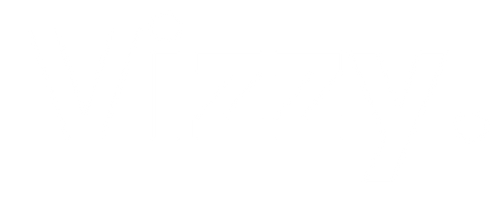 Vizzy